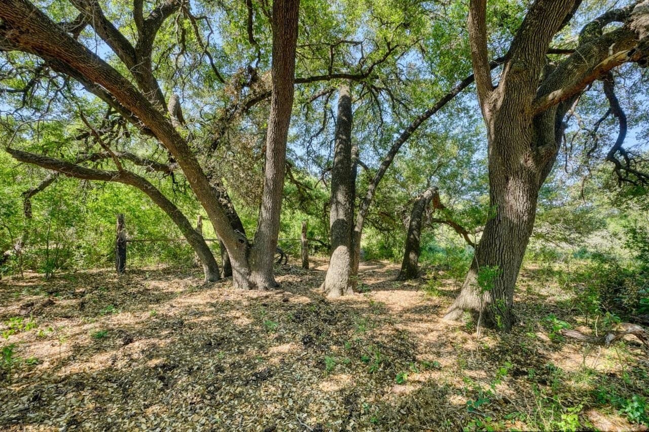 65.42 acres in Llano County - photo 7