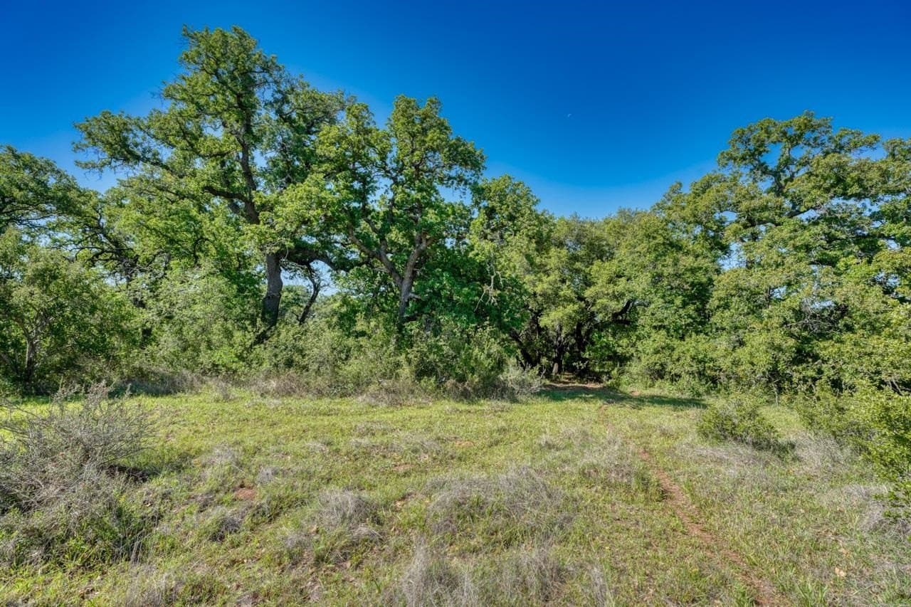 65.42 acres in Llano County - photo 23