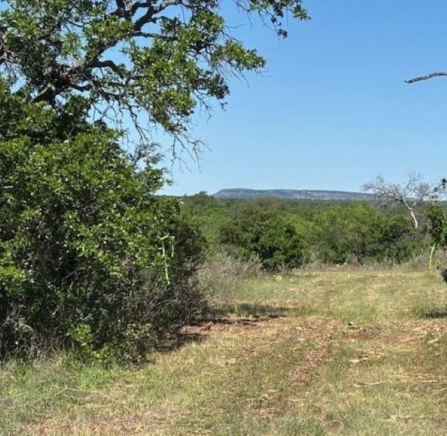 65.42 acres in Llano County - photo 2