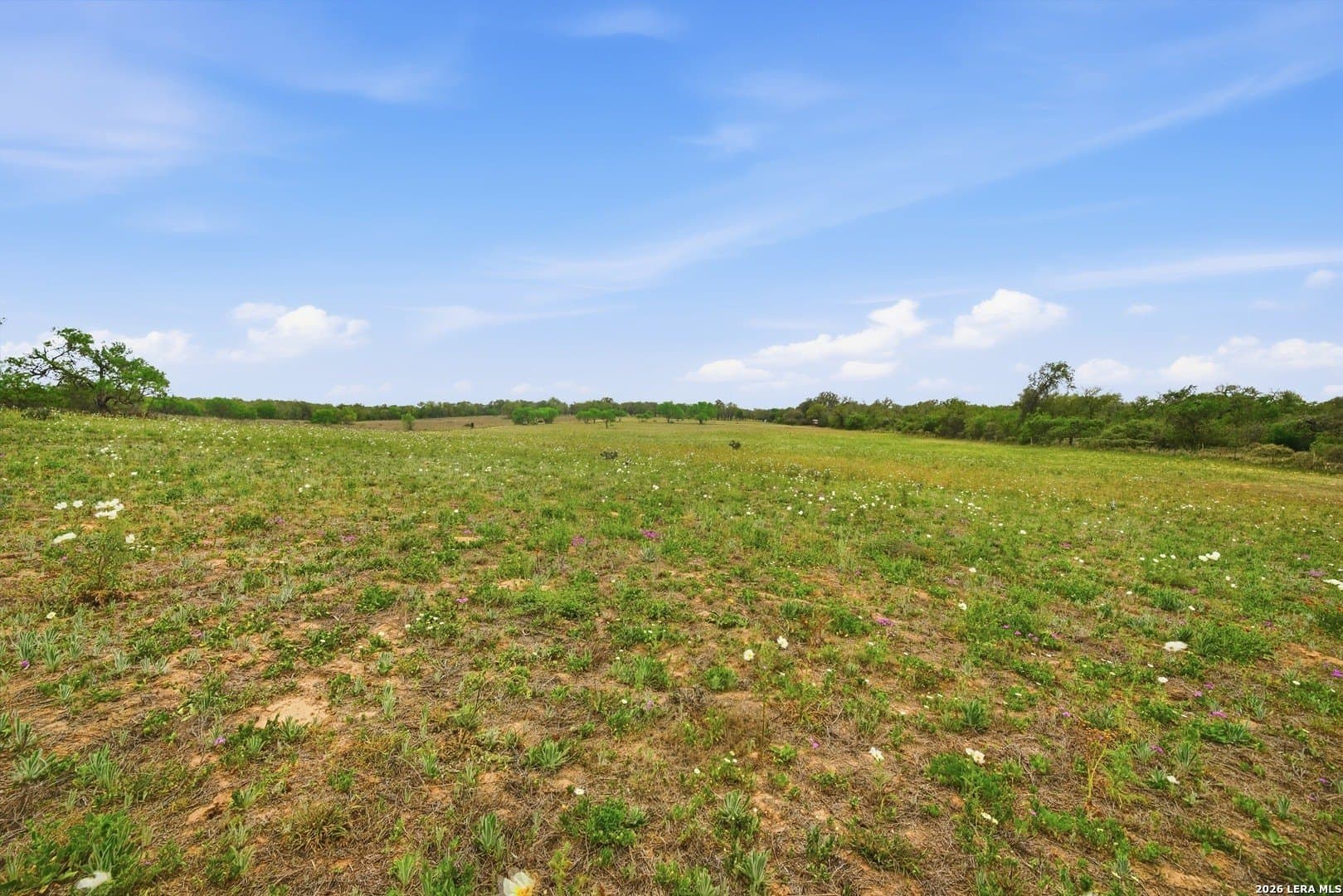 14.17 acres in Atascosa County - photo 12