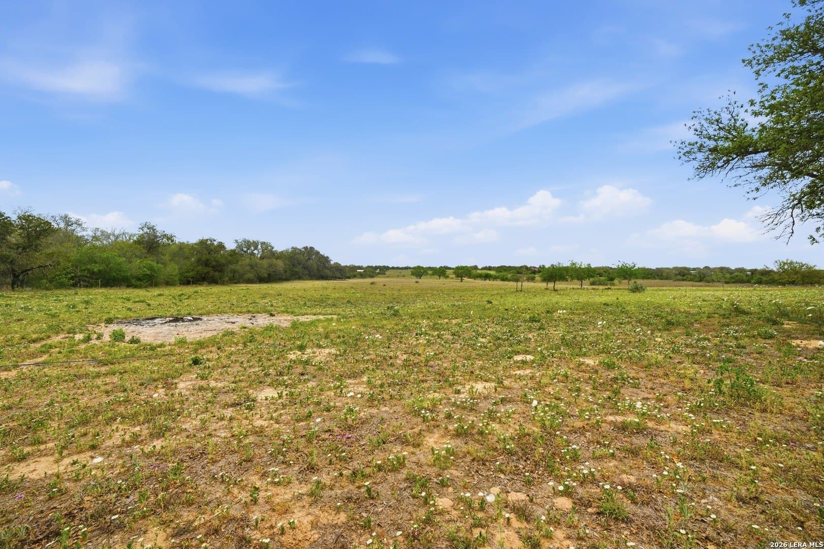 14.17 acres in Atascosa County featured view