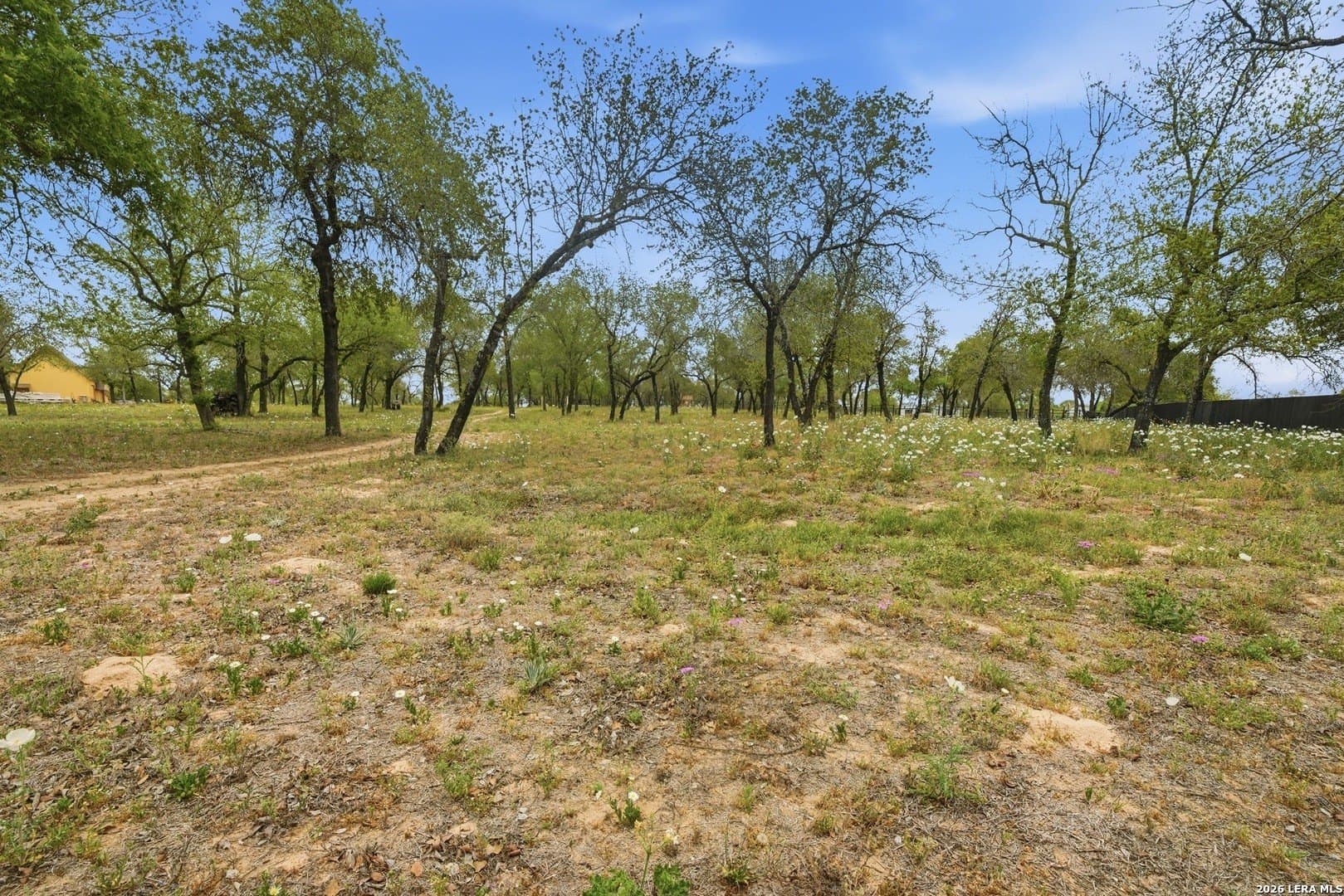14.17 acres in Atascosa County gallery image 4