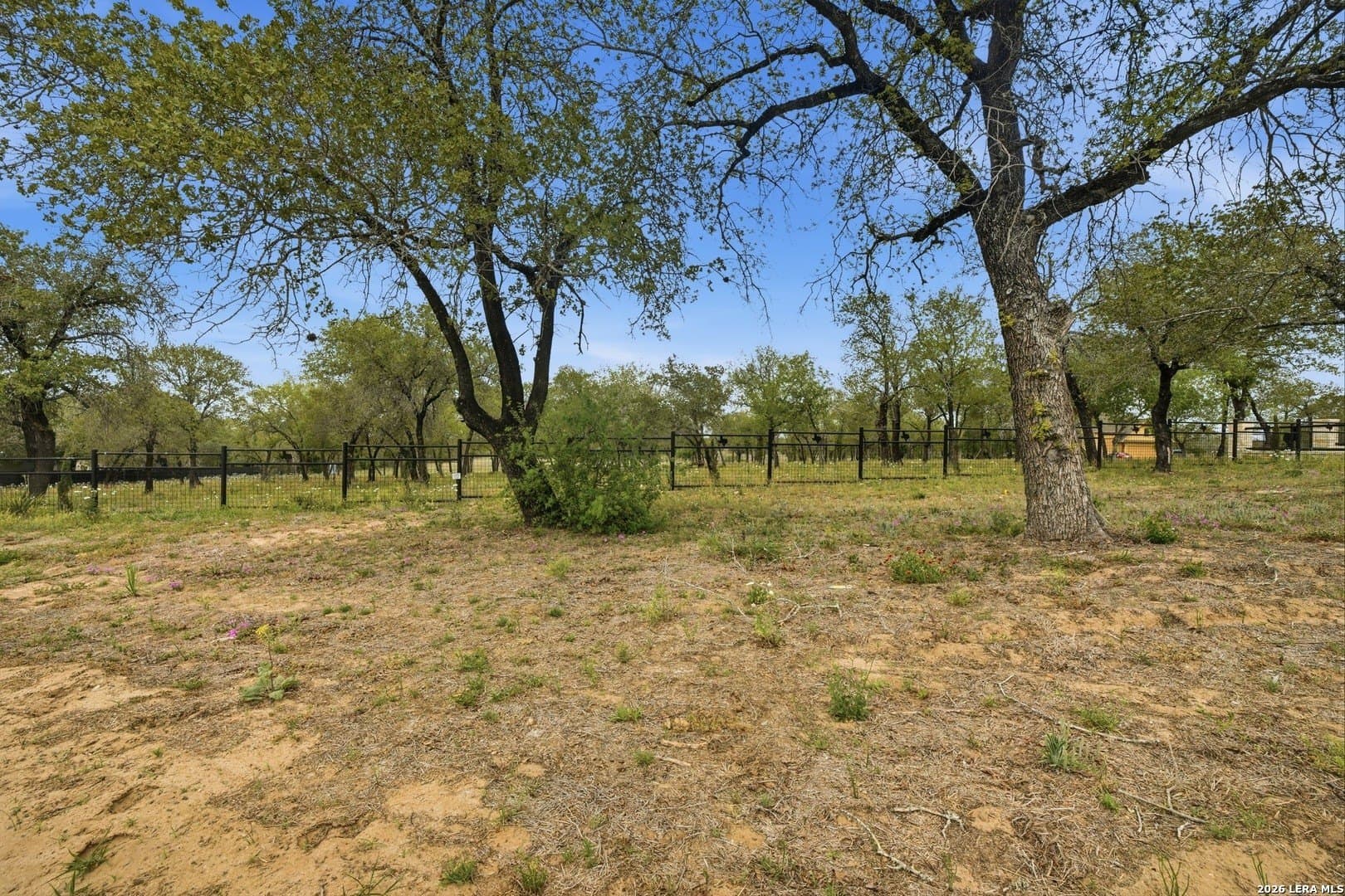 14.17 acres in Atascosa County - photo 11