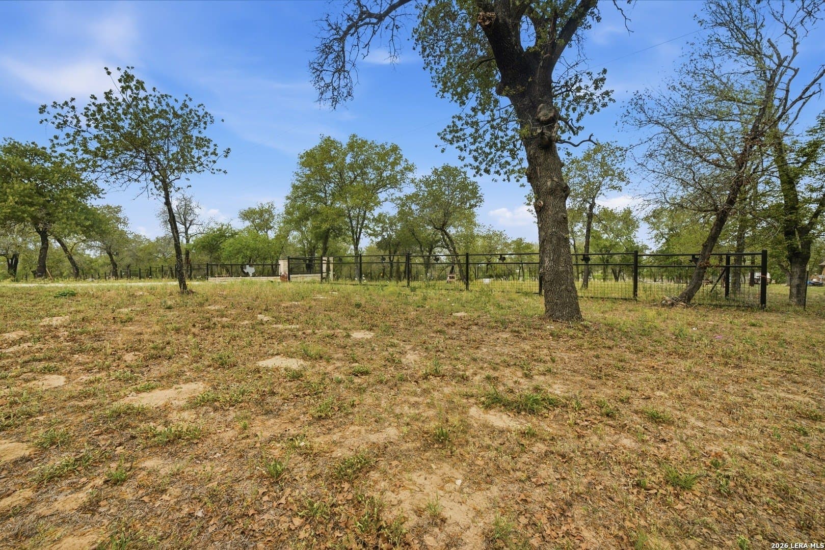 14.17 acres in Atascosa County - photo 9