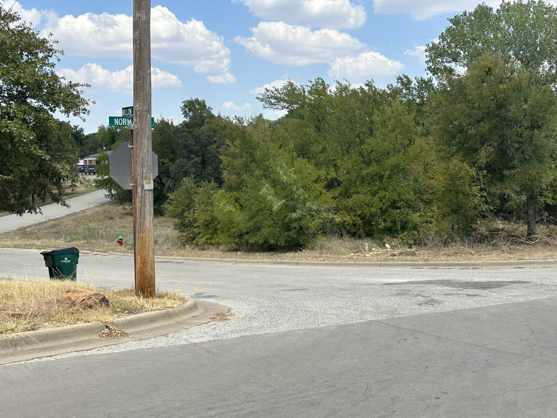 0 acres in Young County - photo 4