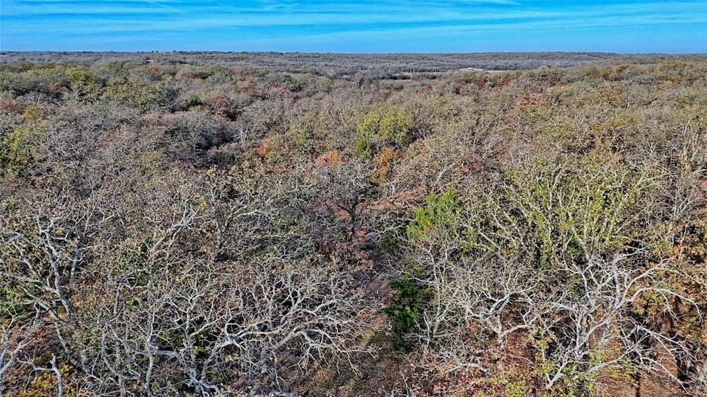 65 acres in Montague County featured view