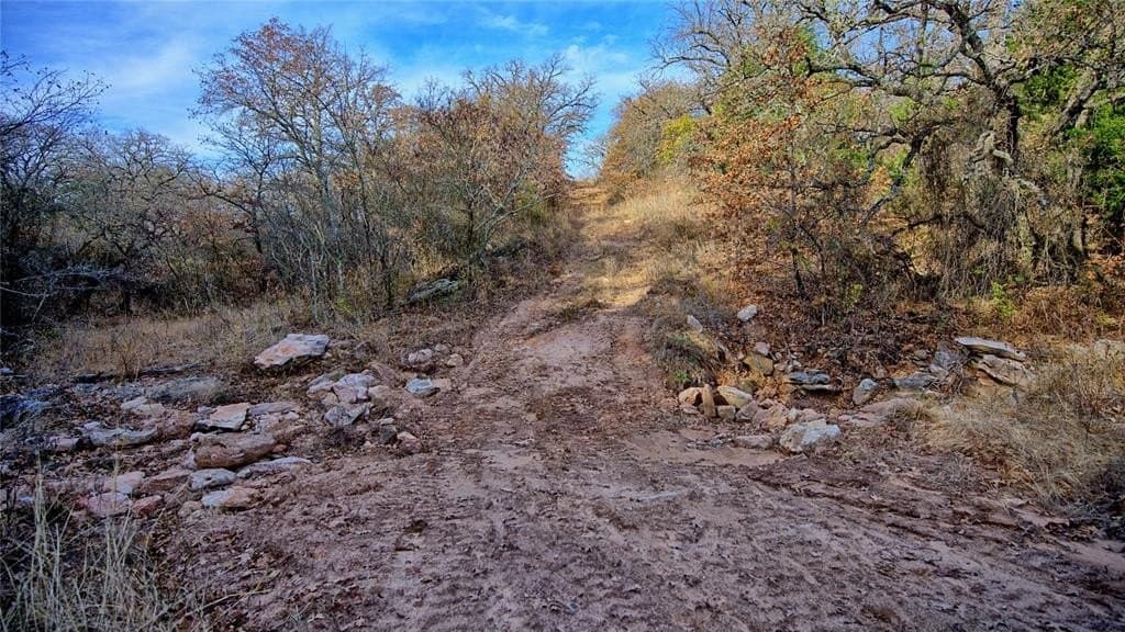 65 acres in Montague County gallery image 4