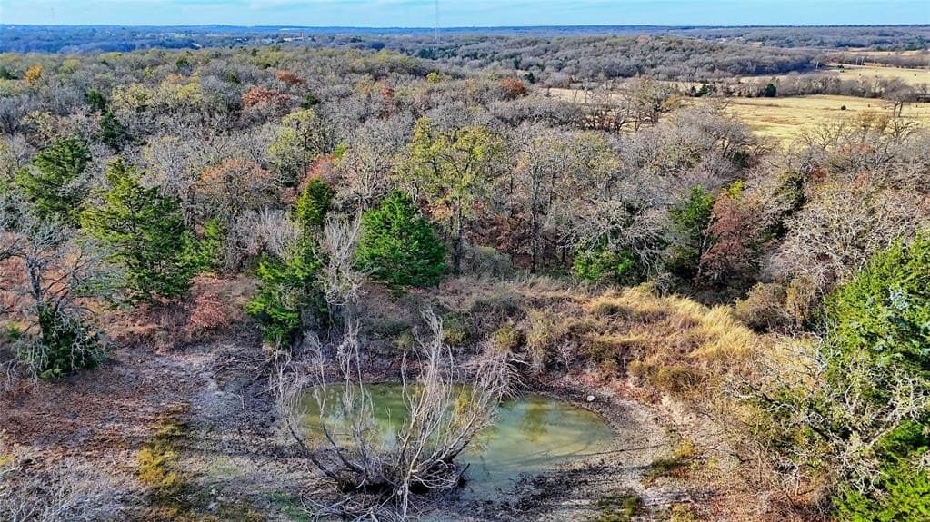 65 acres in Montague County gallery image 3