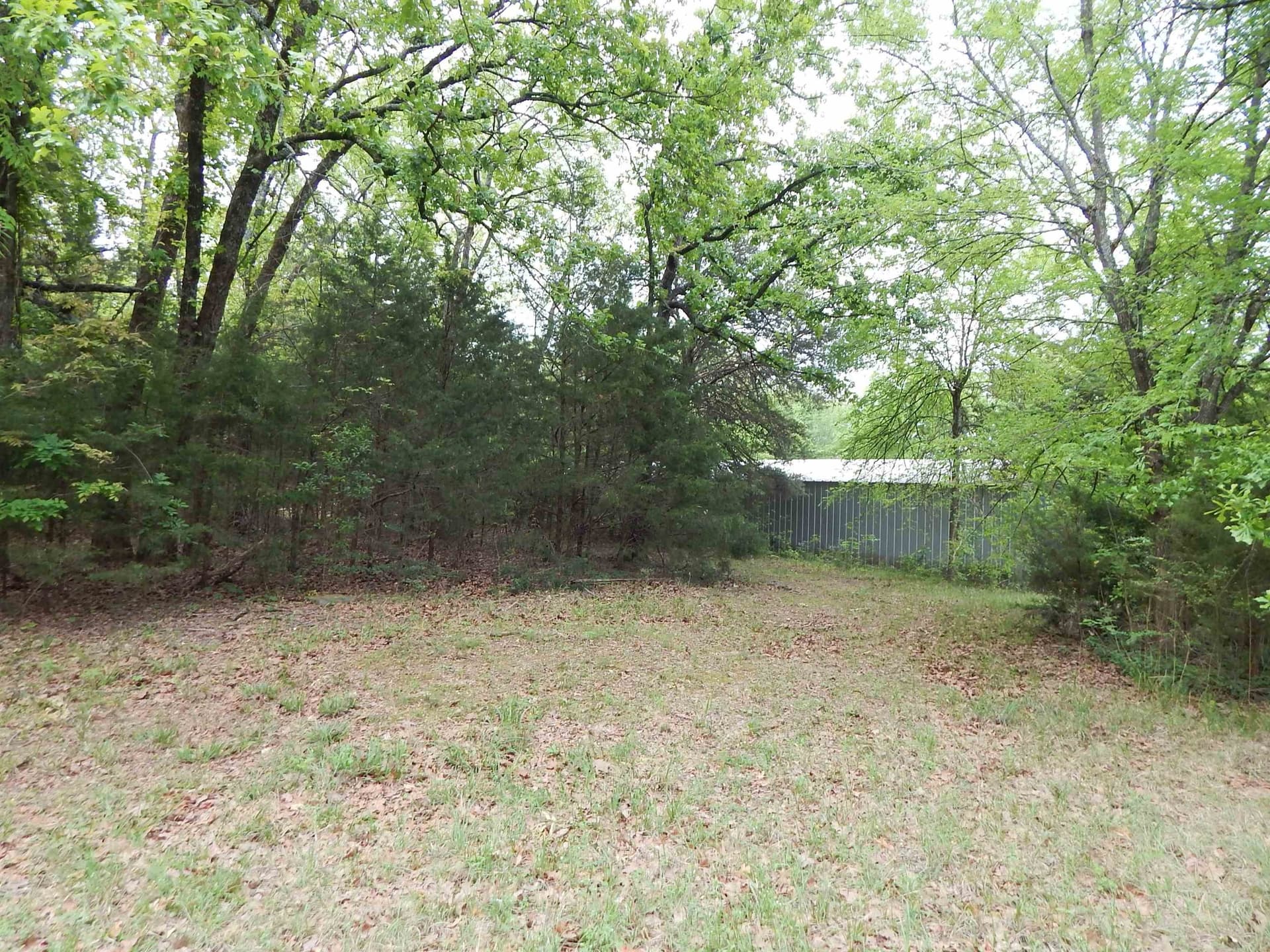 2 acres in Wood County - photo 8