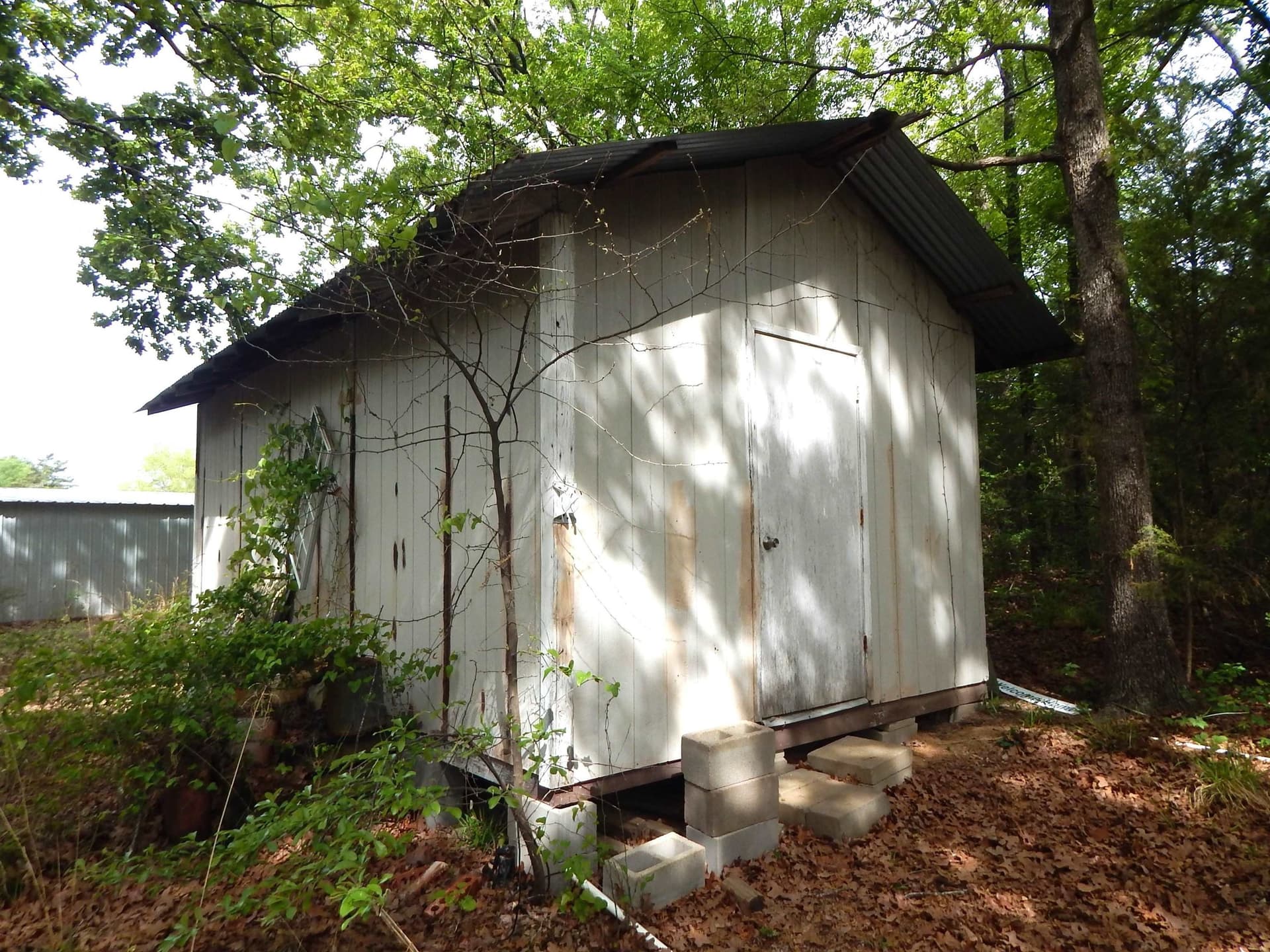 2 acres in Wood County - photo 12