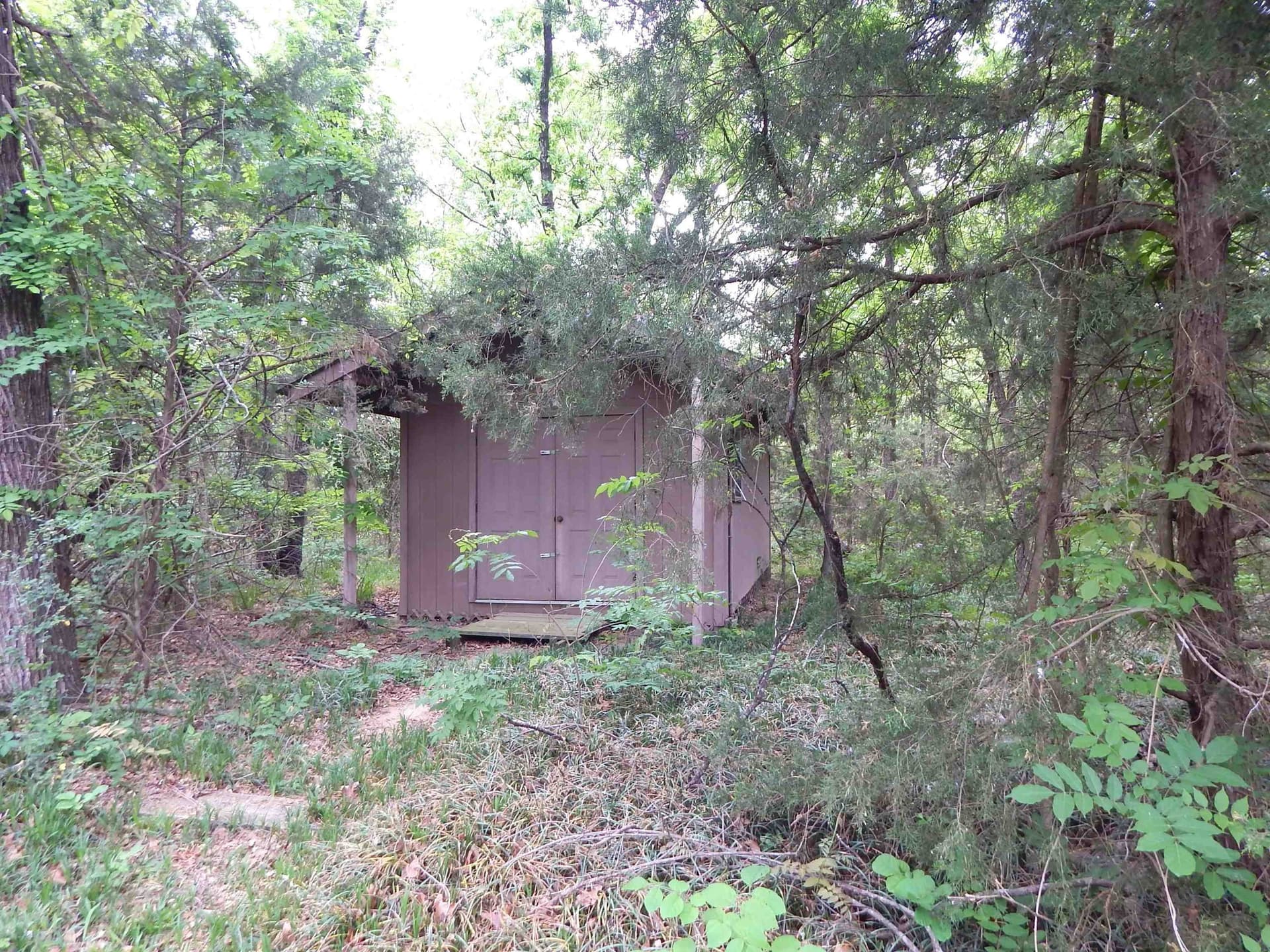 2 acres in Wood County - photo 9