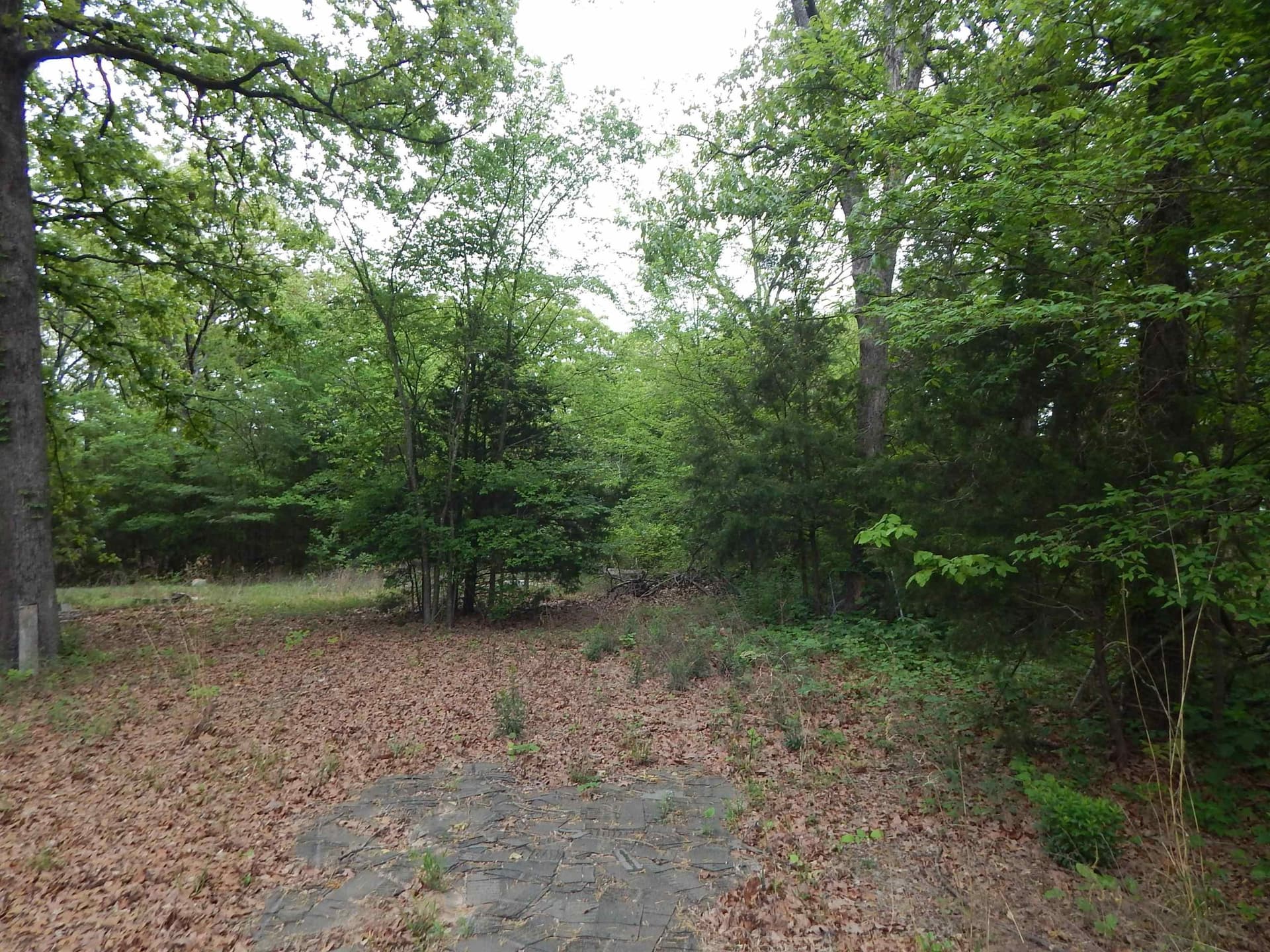 2 acres in Wood County - photo 14