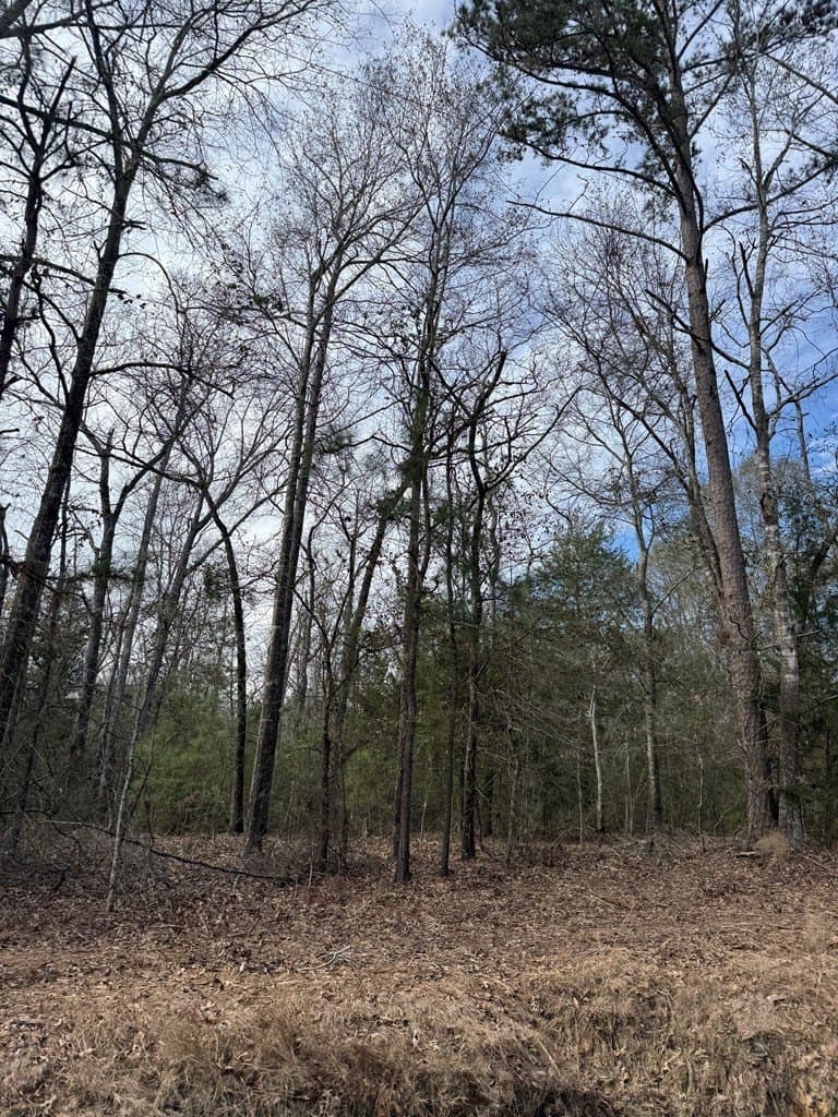 68.17 acres in Texas County - photo 7