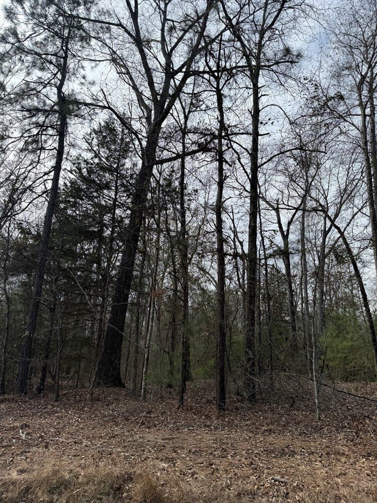 68.17 acres in Texas County - photo 8
