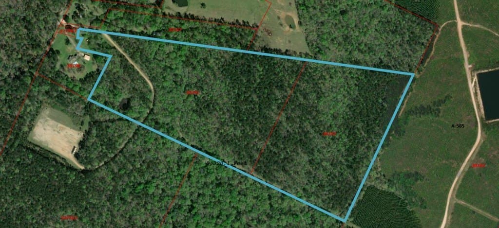 68.17 acres in Texas County - photo 2
