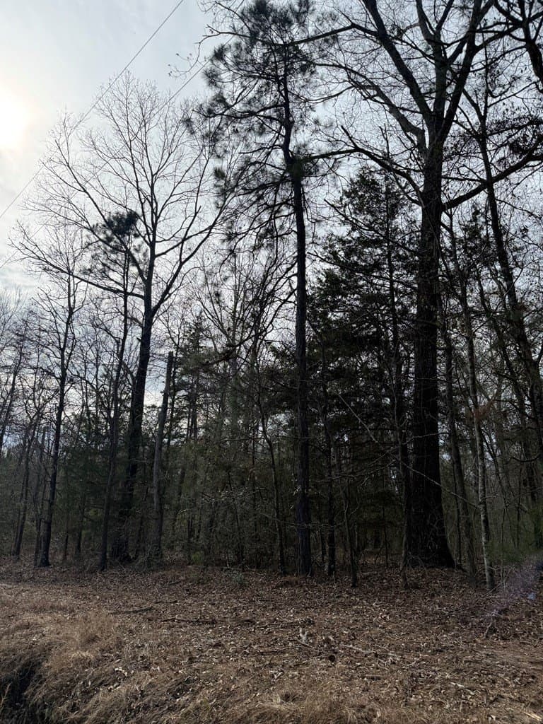 68.17 acres in Texas County - photo 5