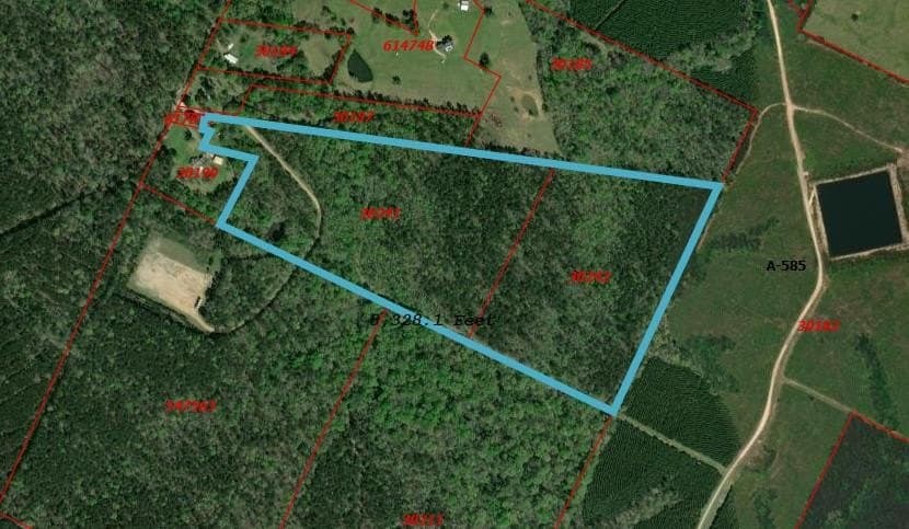 68.17 acres in Texas County