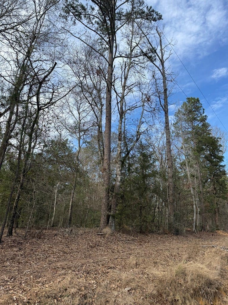 68.17 acres in Texas County - photo 4