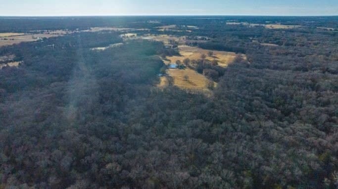 132.57 acres in Fannin County - photo 4