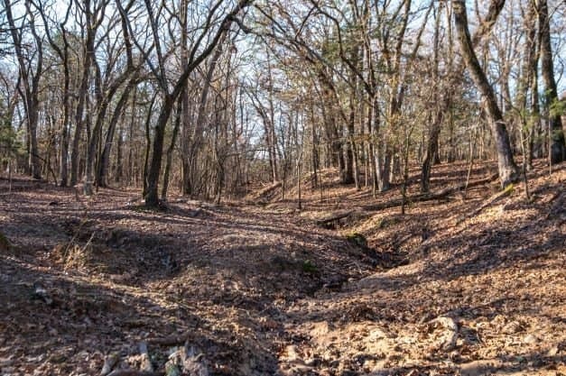 132.57 acres in Fannin County - photo 11