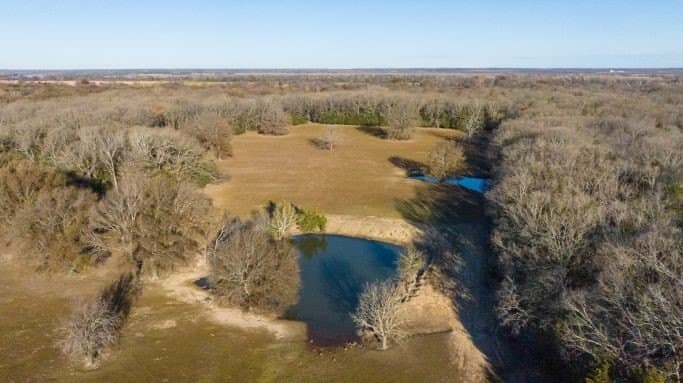 132.57 acres in Fannin County - photo 6