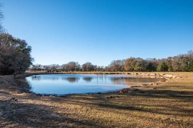 132.57 acres in Fannin County - photo 17