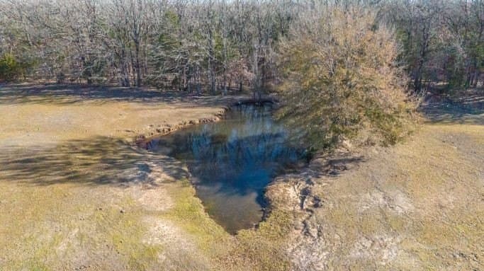 132.57 acres in Fannin County - photo 15