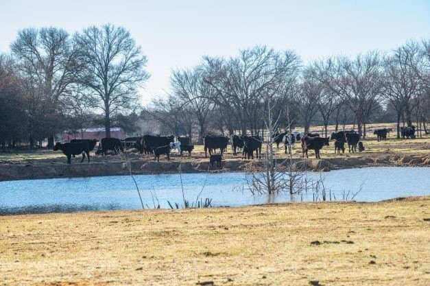 132.57 acres in Fannin County - photo 16