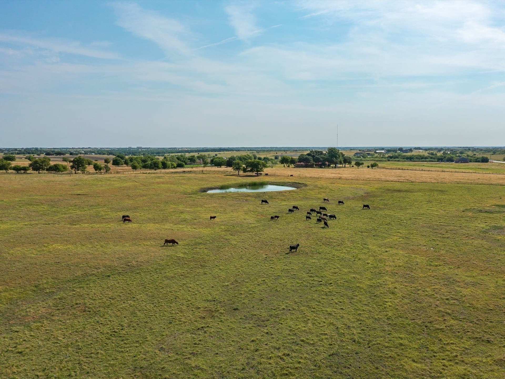 2.64 acres in Ellis County gallery image 4