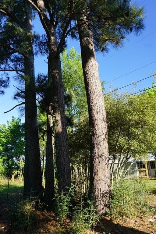 6 acres in Henderson County featured view