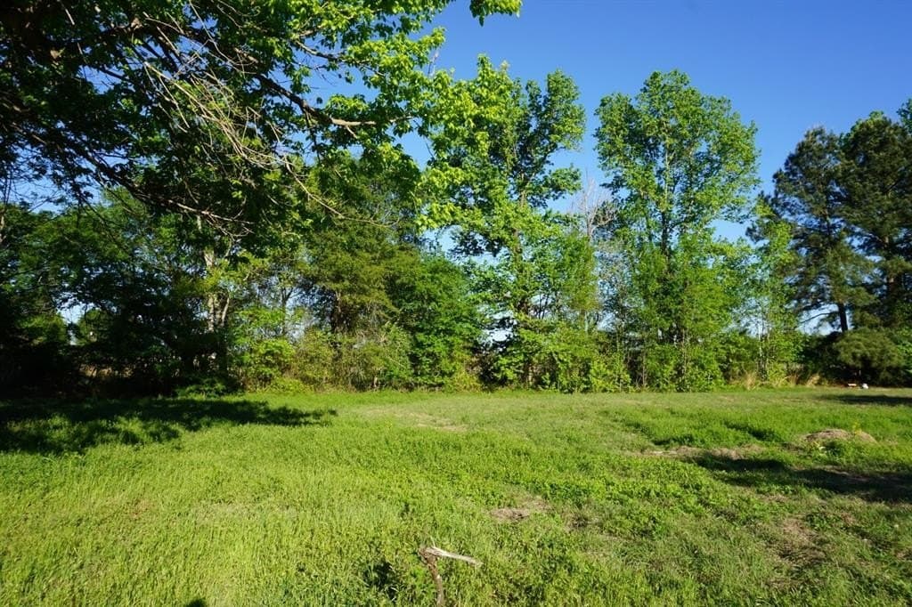 6 acres in Henderson County gallery image 3