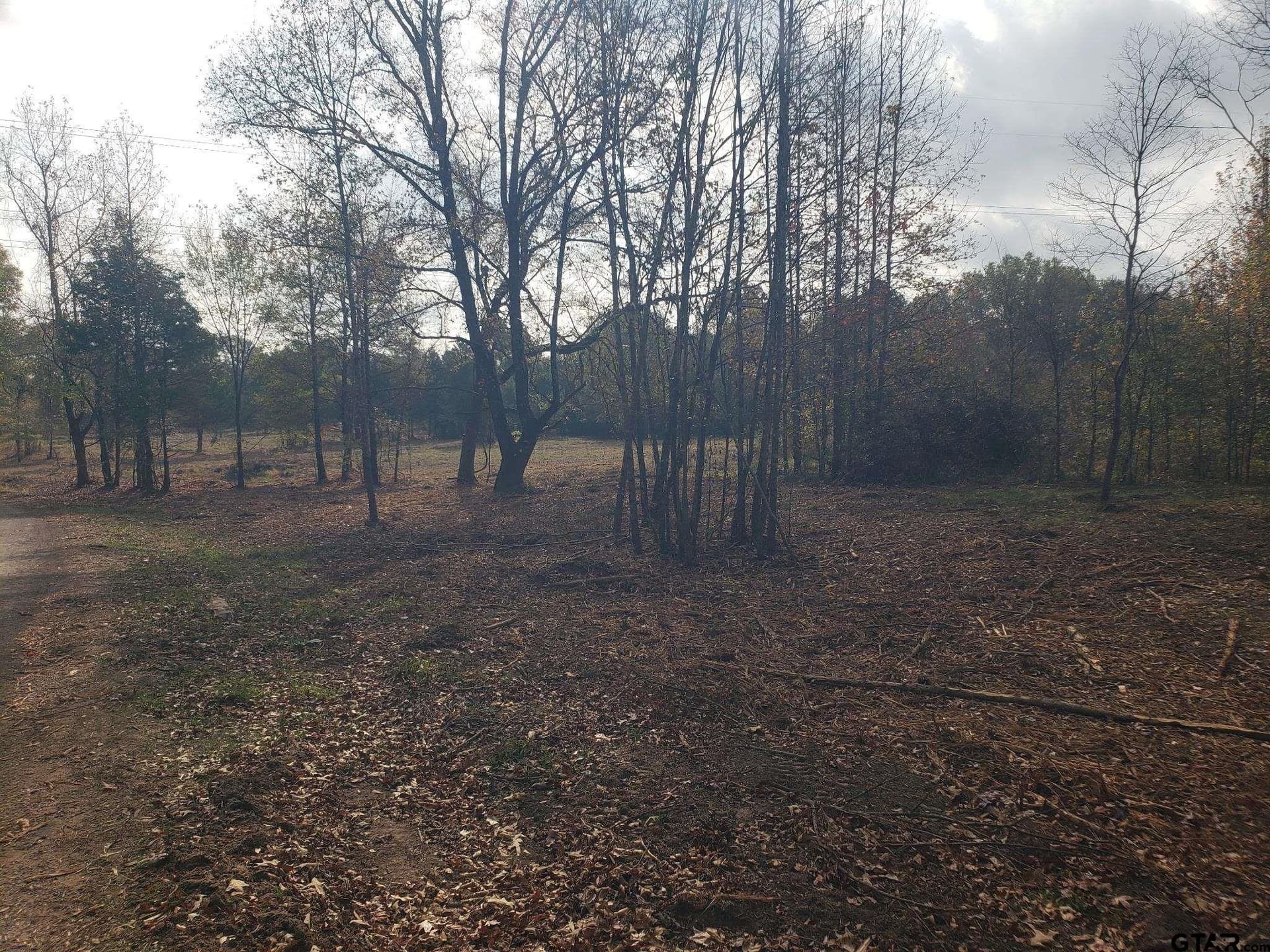 10.1 acres in Panola County gallery image 4
