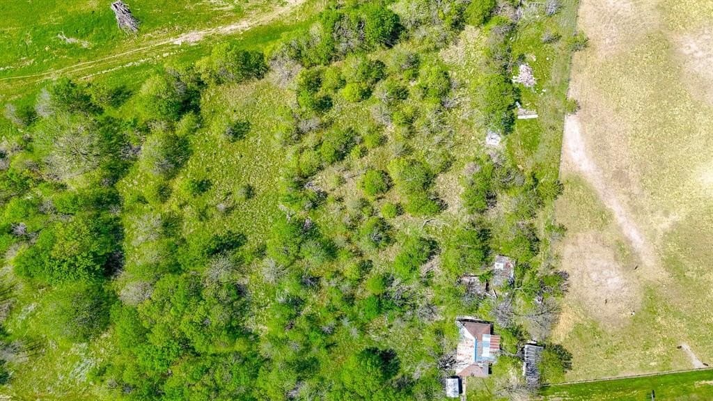 2 acres in Navarro County gallery image 3