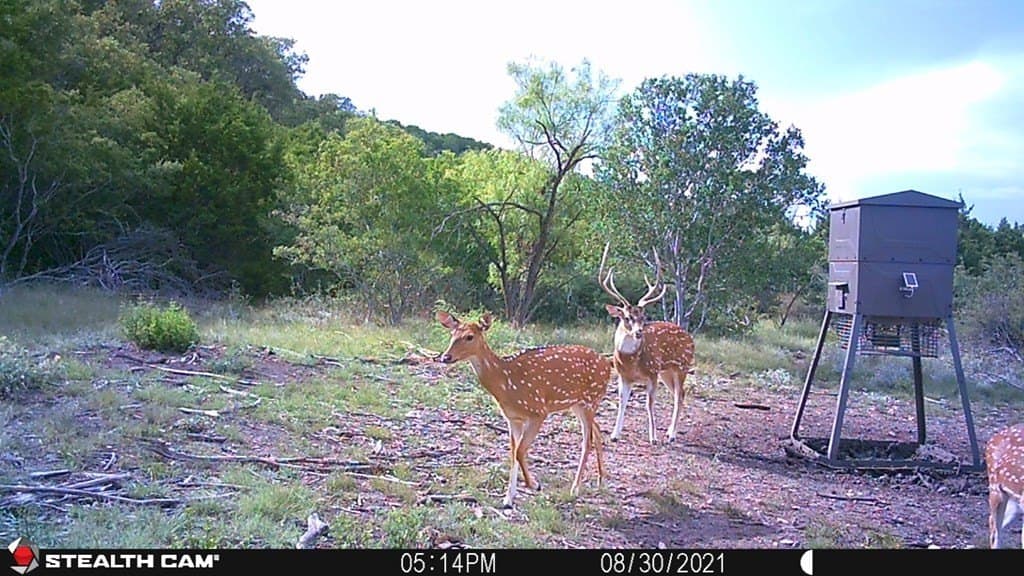 348 acres in Edwards County - photo 26