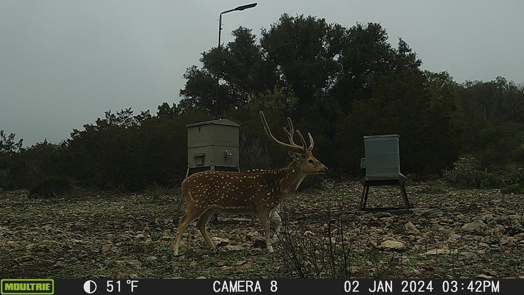348 acres in Edwards County - photo 25