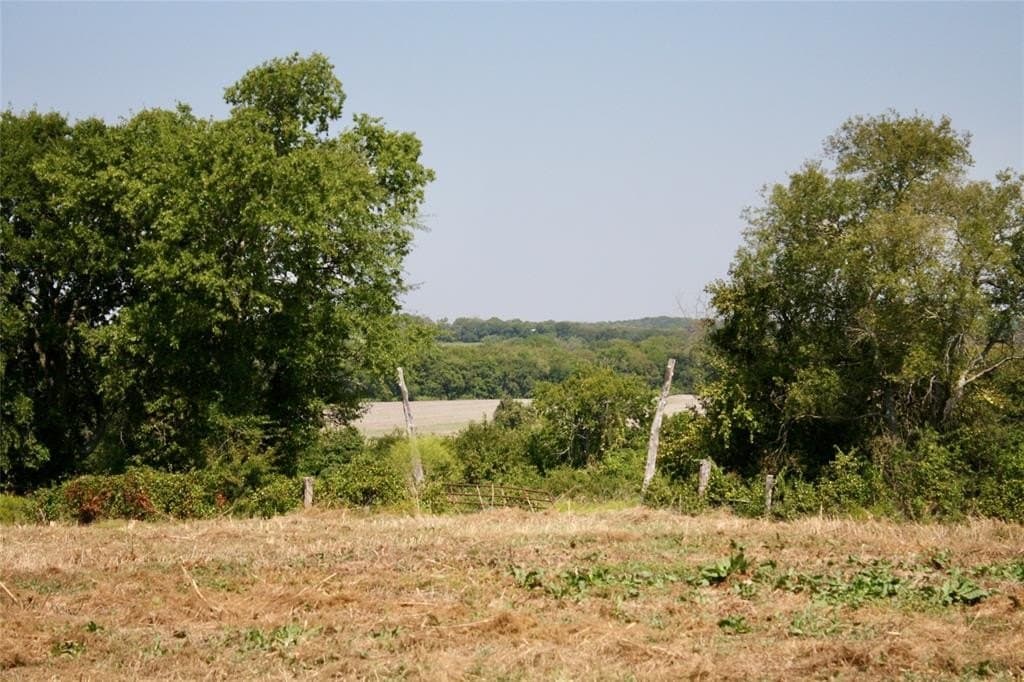 10 acres in Fannin County gallery image 2