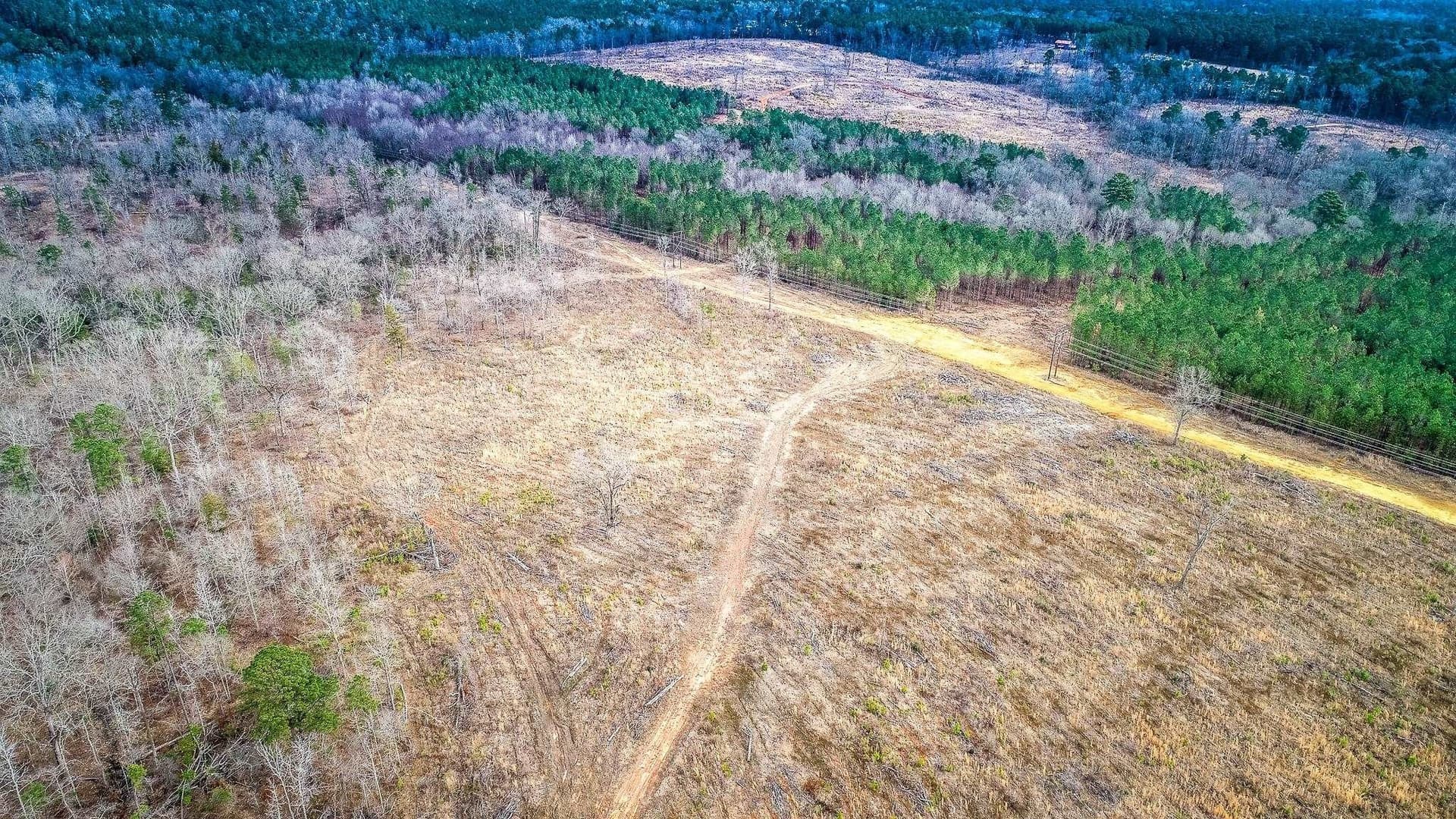 6.5 acres in Upshur County - photo 9