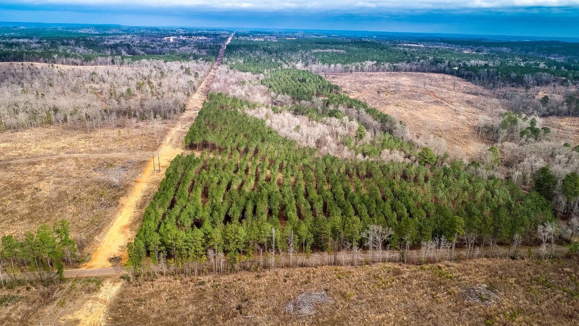 6.5 acres in Upshur County - photo 11