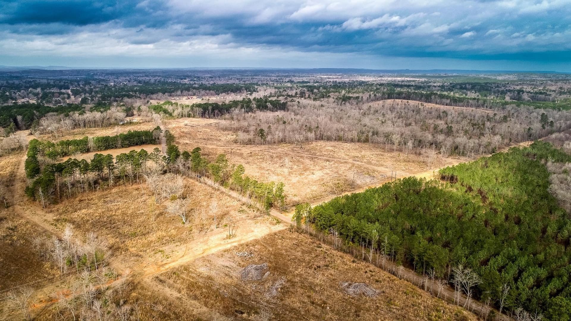 6.5 acres in Upshur County - photo 15