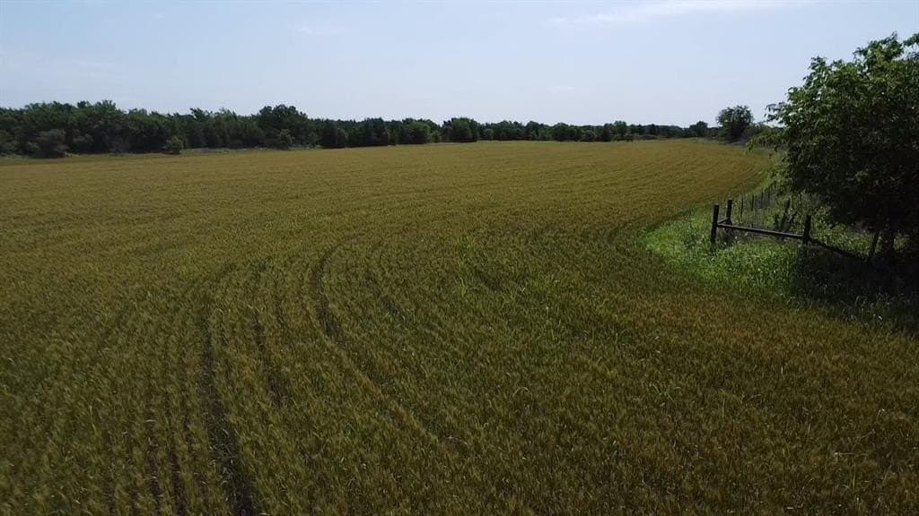 149 acres in Bosque County