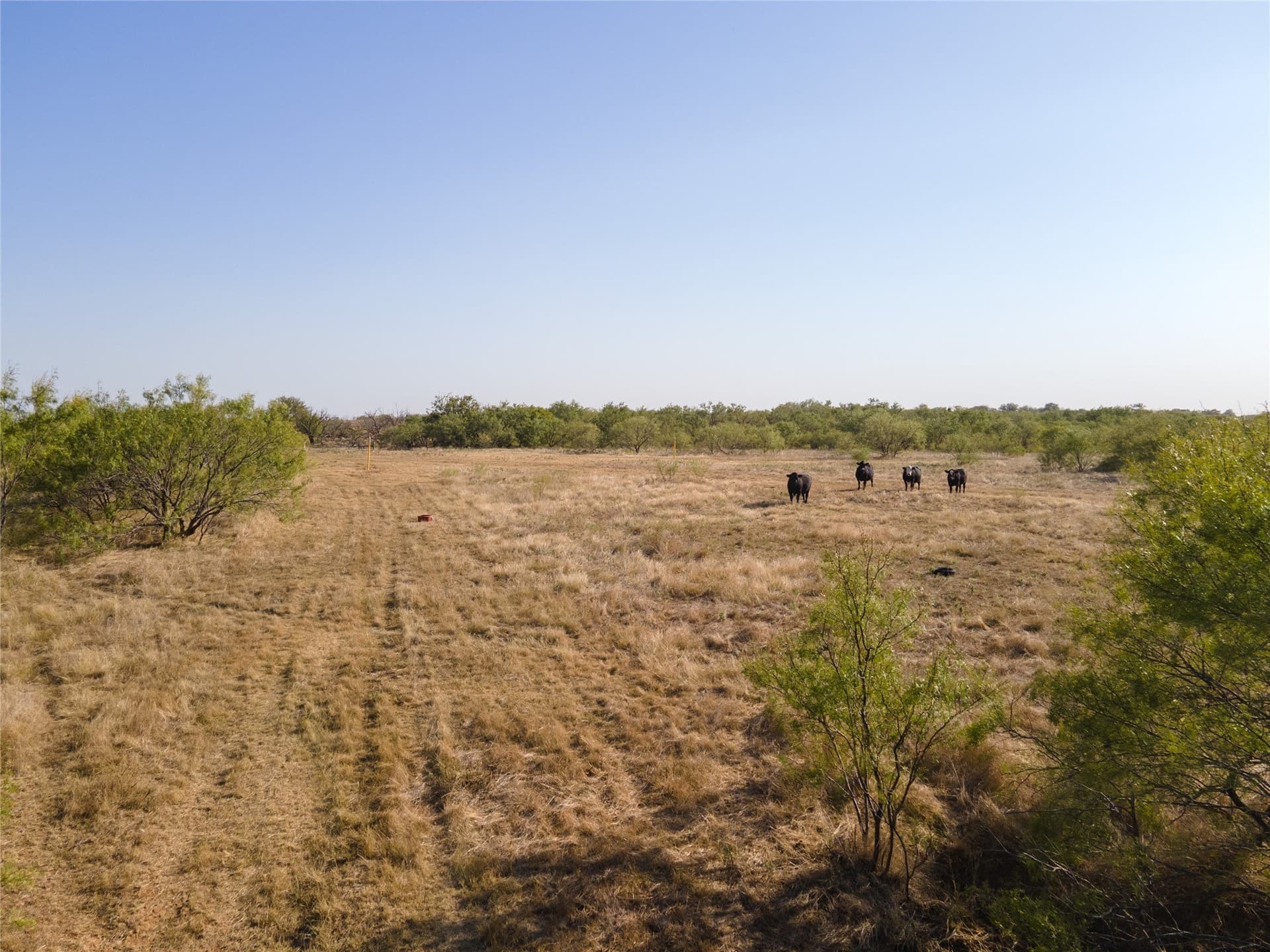55.09 acres in Clay County - photo 14