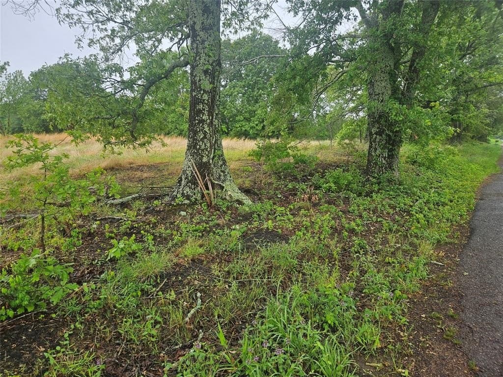 3 acres in Lamar County gallery image 3