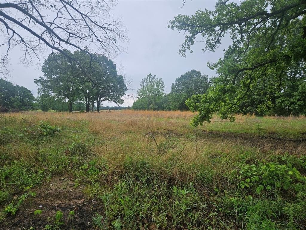 3 acres in Lamar County