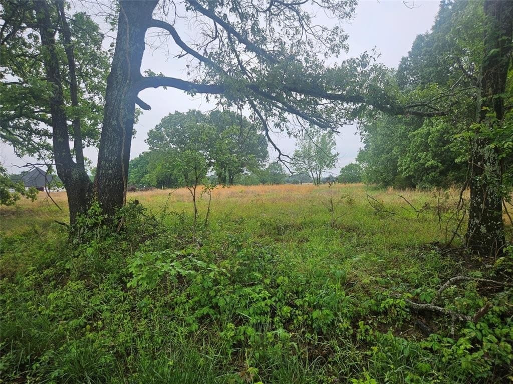 3 acres in Lamar County gallery image 2