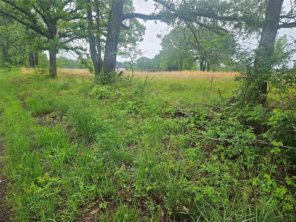 3 acres in Lamar County gallery image 4