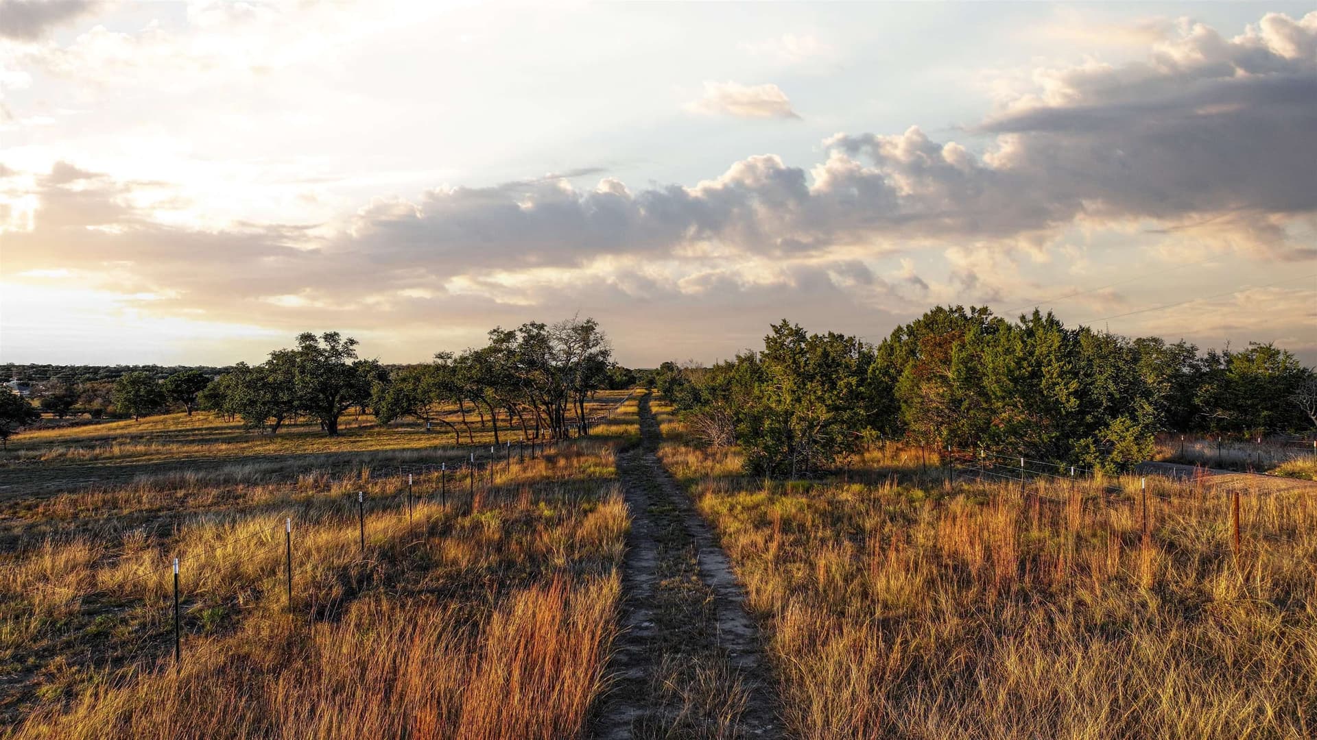 27.89 acres in Burnet County - photo 4