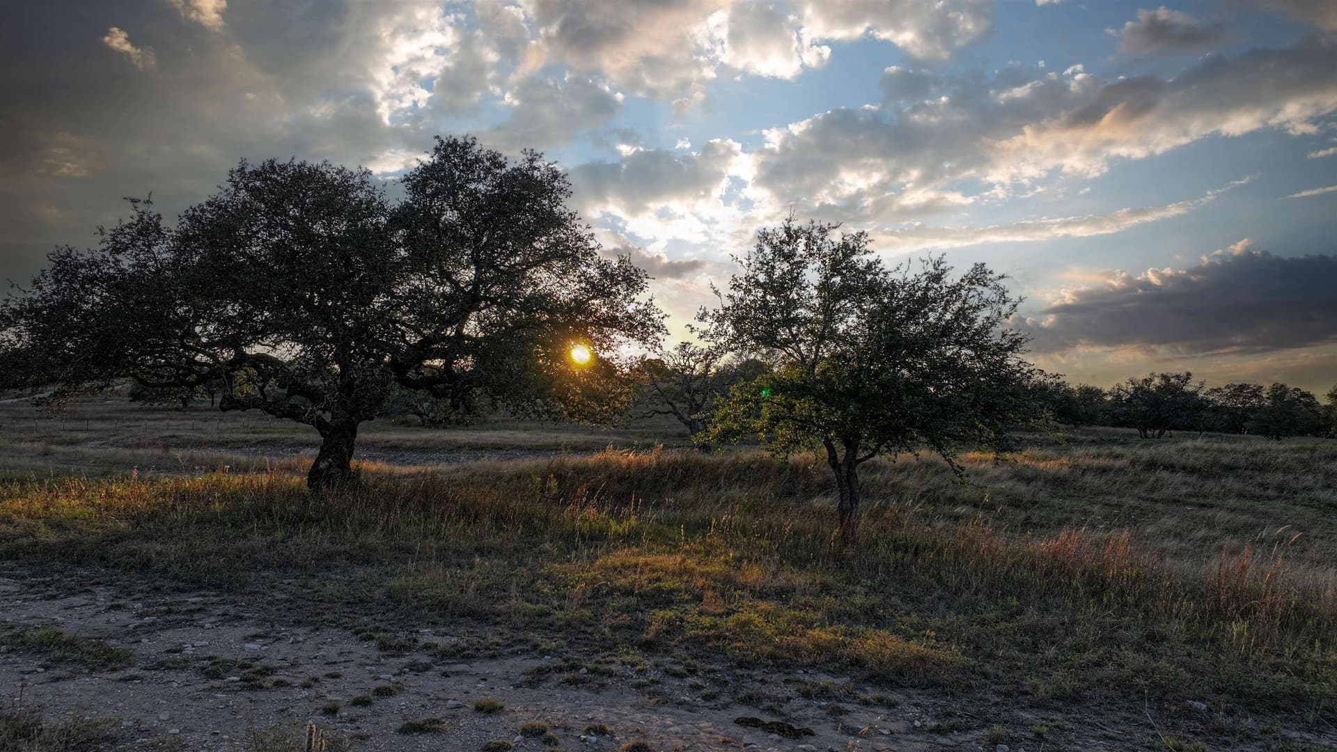 27.89 acres in Burnet County - photo 7