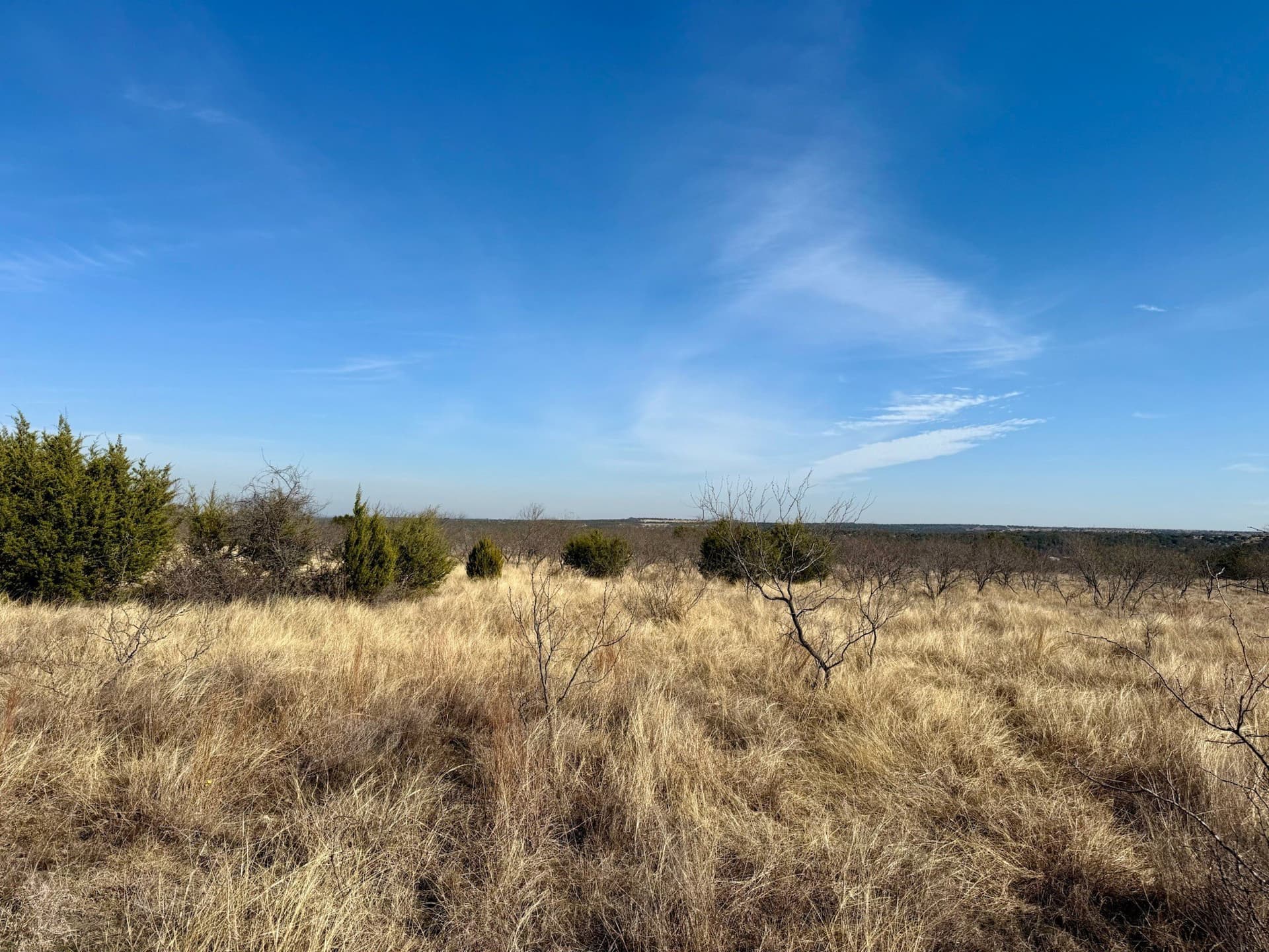 20.02 acres in Hamilton County - photo 12