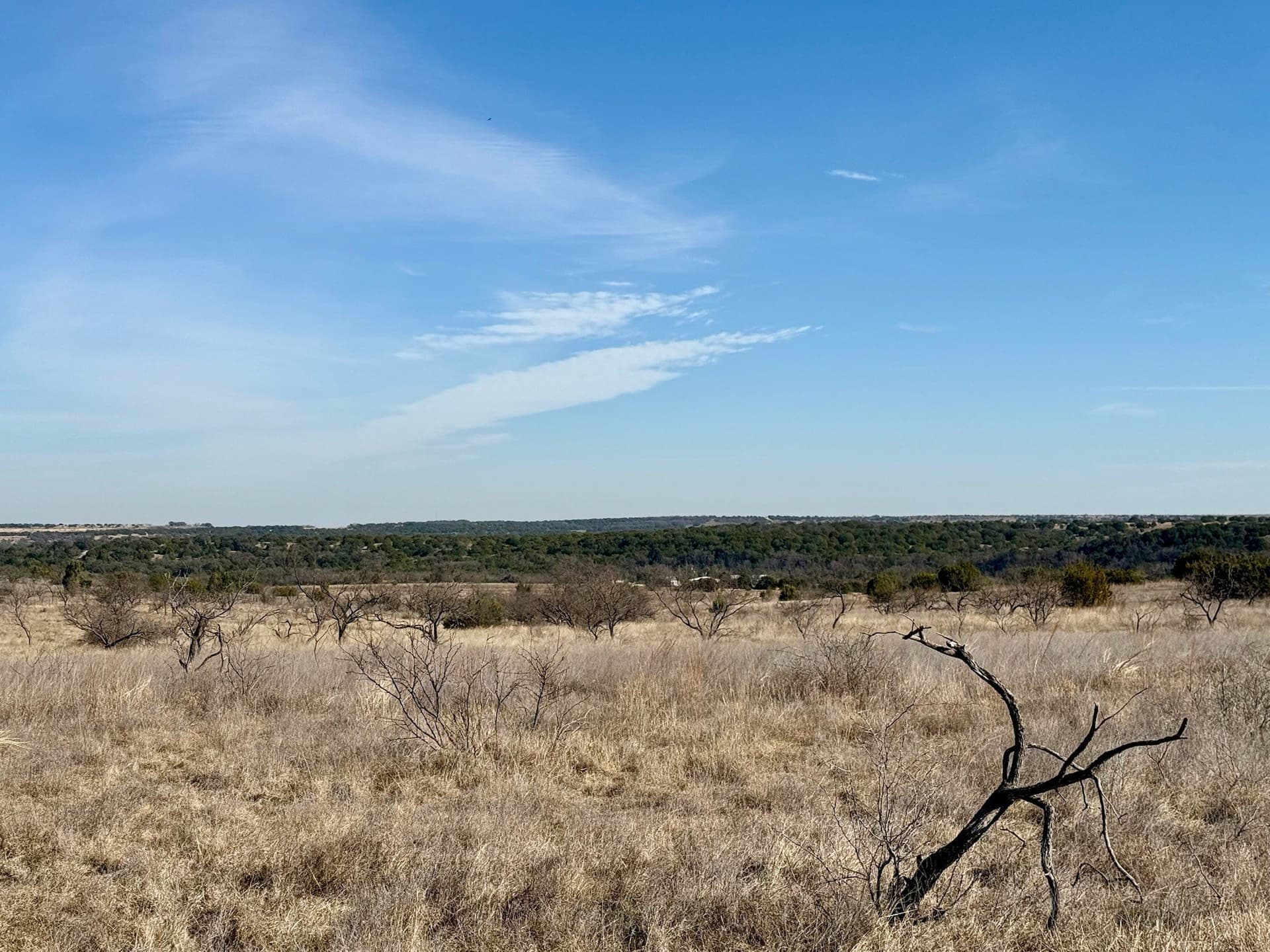 20.02 acres in Hamilton County - photo 9
