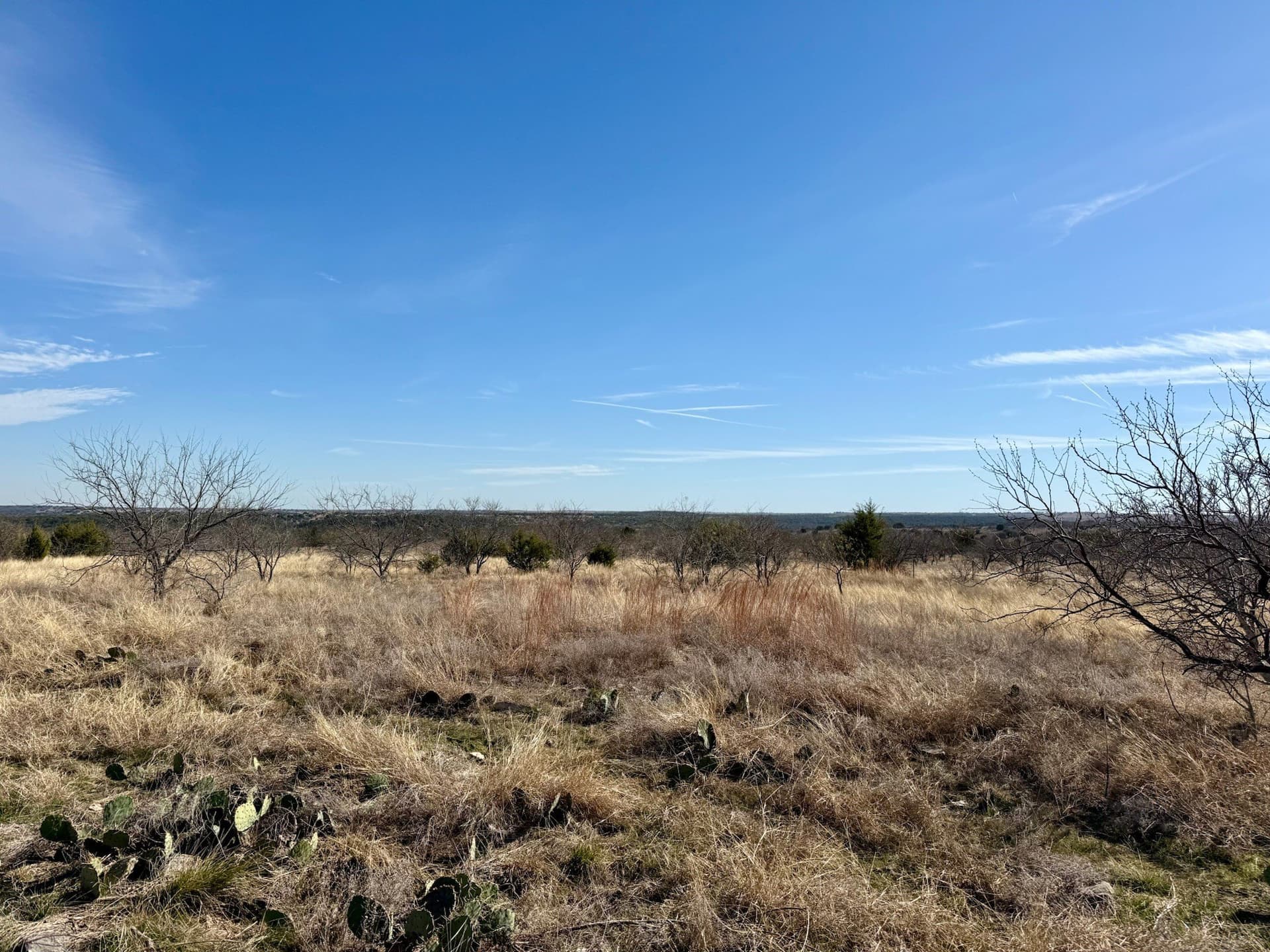 20.02 acres in Hamilton County - photo 13